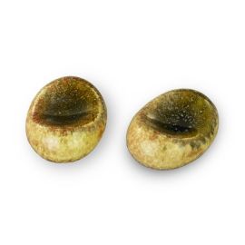 Chopsticks Rest 2pc. -Marugata Unofu Shino