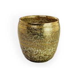 Multi cup -Masa Hake Gold 雅刷毛 金