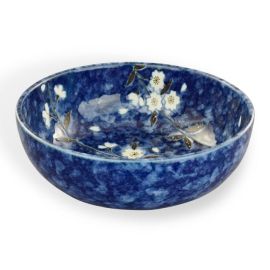 Hira Bowl -Kon Zakura**SP